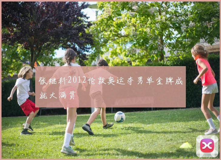 张继科2012伦敦奥运夺男单金牌成就大满贯