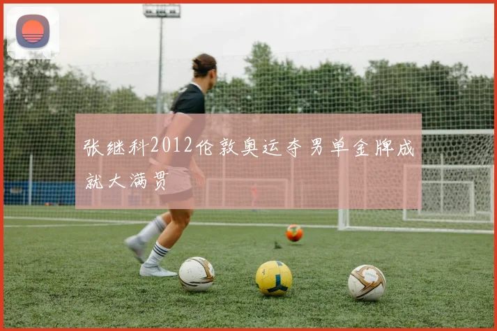 张继科2012伦敦奥运夺男单金牌成就大满贯