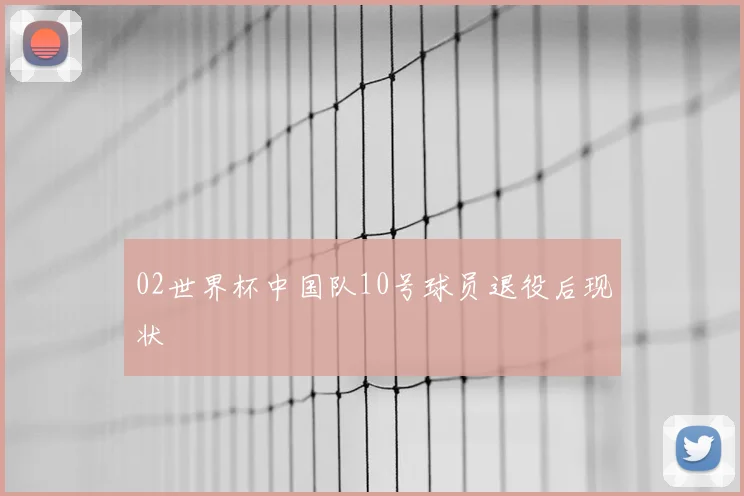 02世界杯中国队10号球员退役后现状