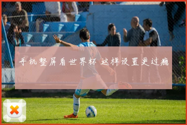 手机整屏看世界杯 这样设置更过瘾