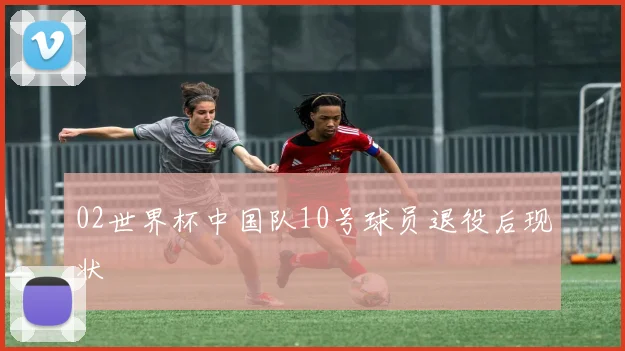 02世界杯中国队10号球员退役后现状